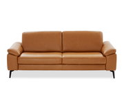 Braunes 3-Sitzer-Sofa aus Leder, Frontalansicht