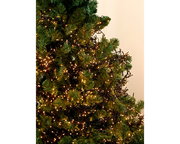 Nahaufnahme eines Weihnachtsbaums mit warmweißer LED-Clusterbeleuchtung, die gleichmäßig um die Zweige gewickelt ist.