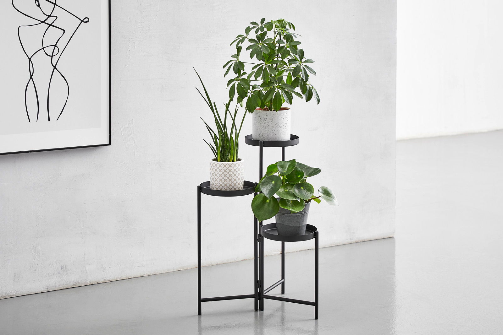 Moderner schwarzer Blumenständer mit drei Ebenen, auf denen verschiedene Pflanzen in Töpfen stehen. Der Ständer steht in einer hellen, minimalistischen Umgebung. Perspektive von vorne.