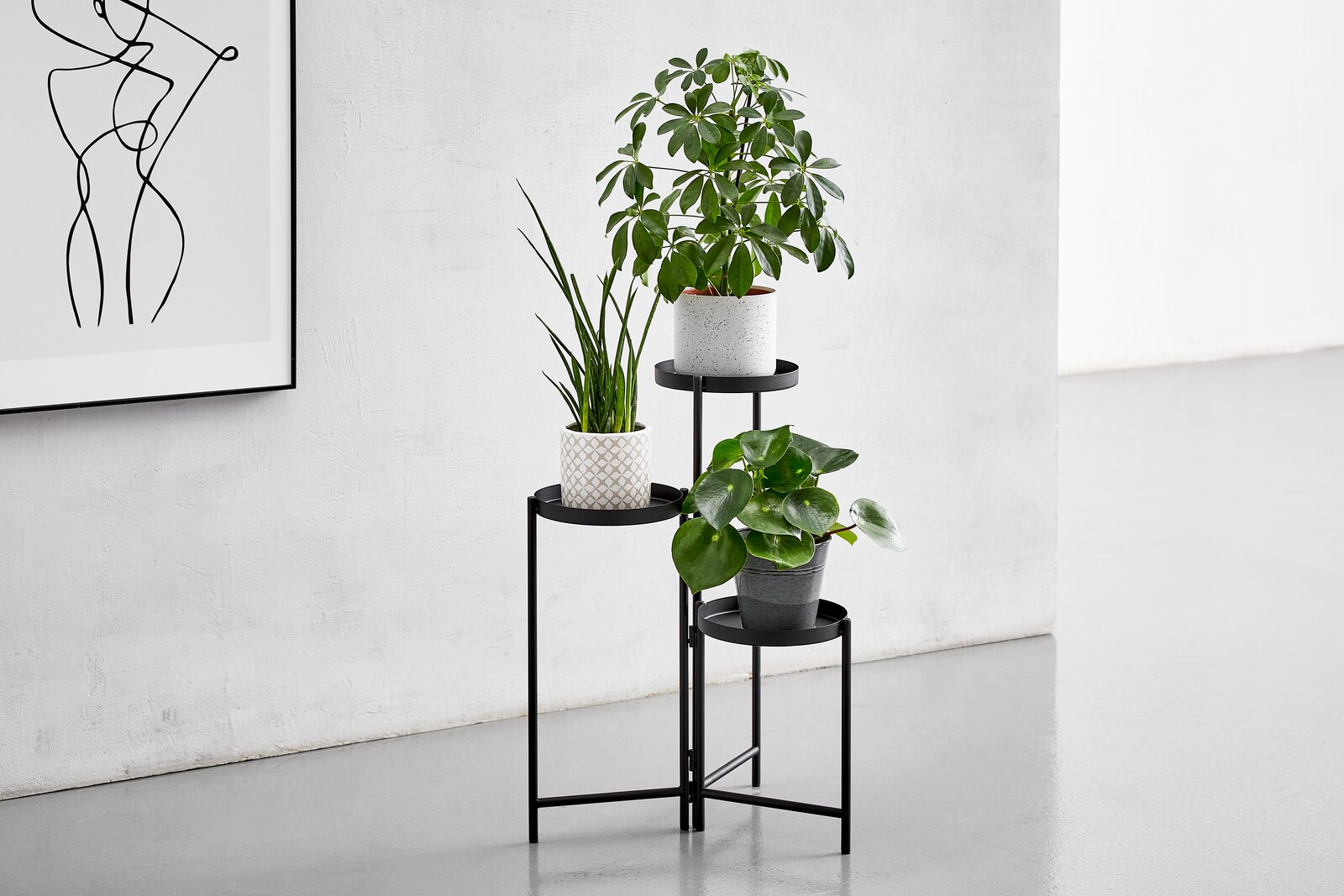 Moderner schwarzer Blumenständer mit drei Ebenen, auf denen verschiedene Pflanzen in Töpfen stehen. Der Ständer steht in einer hellen, minimalistischen Umgebung. Perspektive von vorne.