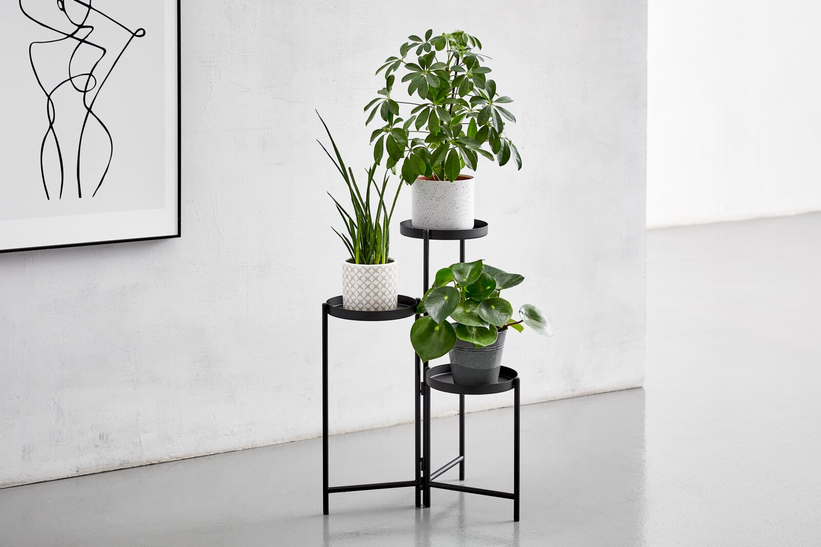 Moderne zwarte plantenstandaard met drie niveaus waarop verschillende potplanten staan. De standaard staat in een lichte, minimalistische omgeving. Aanzicht van voren.