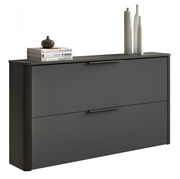 Moderner Hängeschuhschrank in dunklem Design, seitliche Perspektive, dekoriert mit Büchern und Vasen auf der Oberseite.