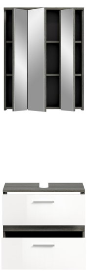 Badezimmerschrank-Kombination mit Spiegelschrank und Unterschrank in moderner Frontansicht