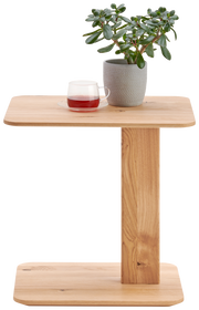 Beistelltisch aus Holz mit einer Pflanze und einem Glas Tee, frontal betrachtet.