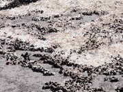 Nahaufnahme eines Designer-Teppichs mit abstraktem Muster in Beige-, Grau- und Schwarztönen, aus seitlicher Perspektive aufgenommen.