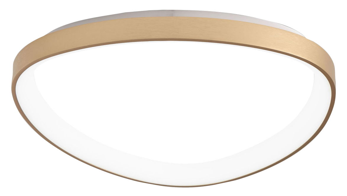 Fabas Luce LED-Deckenleuchte QUIRK Moderne LED-Deckenleuchte mit goldener Umrandung, seitliche Perspektive