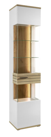 Moderne Vitrine mit Glasregalen und Holzdetails, frontal betrachtet.