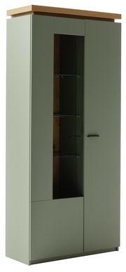 Vitrine mit Glasfront und Holzelementen, seitliche Perspektive