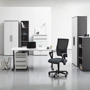 Moderne Büromöbel in einem hellen Raum, darunter ein Schreibtisch mit Rollcontainer, ein Bürostuhl und mehrere Aktenschränke. Frontalansicht.