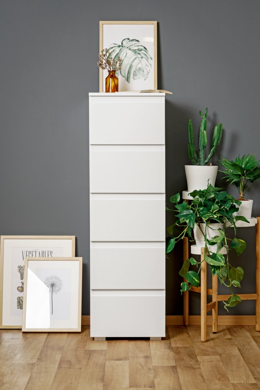 Weiße, hohe Kommode mit fünf Schubladen, umgeben von Pflanzen und gerahmten Bildern, aus frontaler Perspektive fotografiert.