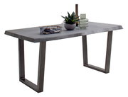 Moderner Esstisch mit rechteckiger Holzplatte und Metallbeinen, dekoriert mit Pflanzen und Glasvasen, seitliche Perspektive