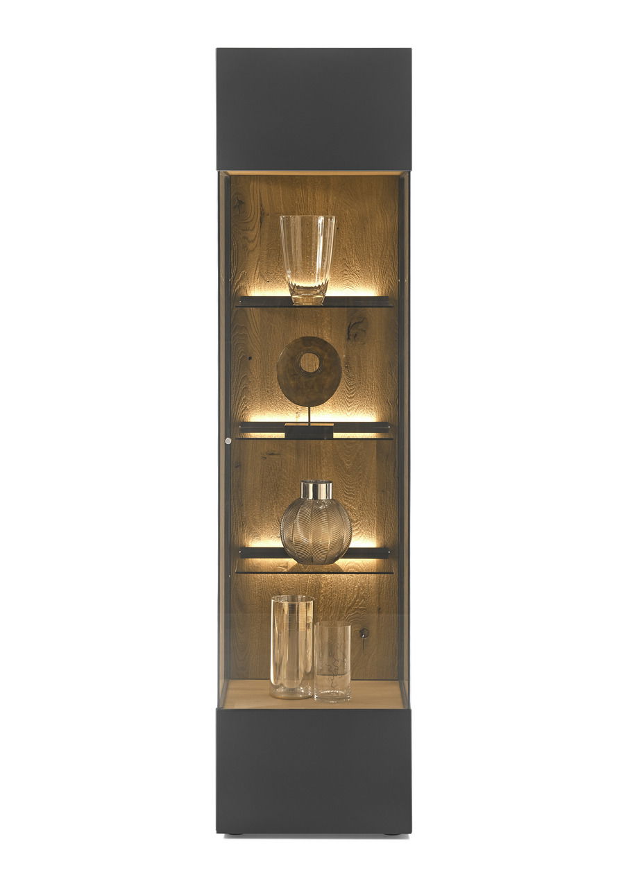 Vitrine mit Glasfront und Holzrückwand, beleuchtet, frontal betrachtet