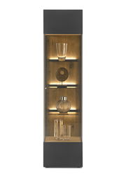 Vitrine mit Glasfront und Holzrückwand, beleuchtet, frontal betrachtet