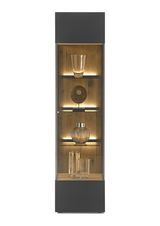 Vitrine mit Glasfront und Holzrückwand, beleuchtet, frontal betrachtet