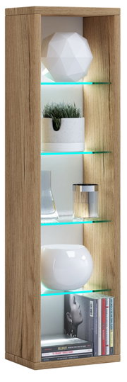 Schmales, offenes Holz-Regal mit beleuchteten Glasböden und Dekoration (Pflanze, Vasen, Bücher), frontale Ansicht.