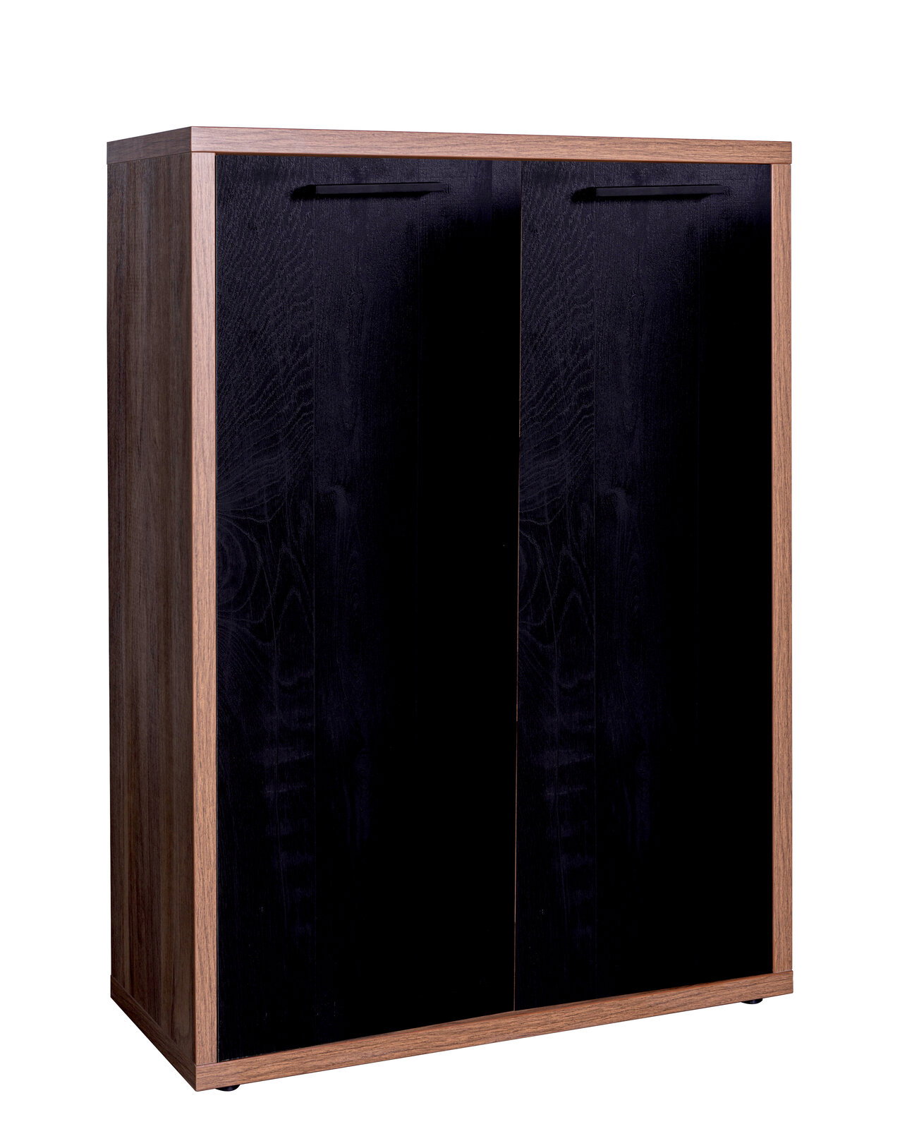 Schwarzer Schrank mit zwei Türen und Holzrahmen, Frontalansicht