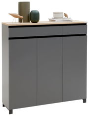 Moderner grauer Schuhschrank mit drei Türen und zwei Schubladen, dekoriert mit Vasen und Büchern, aus frontaler Perspektive.