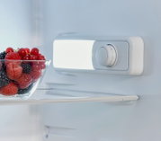 Innenraum eines Kühlschranks mit heller LED-Beleuchtung und Temperatur-Drehregler, daneben eine Glasschale mit Beeren auf dem Glasboden, Perspektive: Frontansicht leicht seitlich von links.