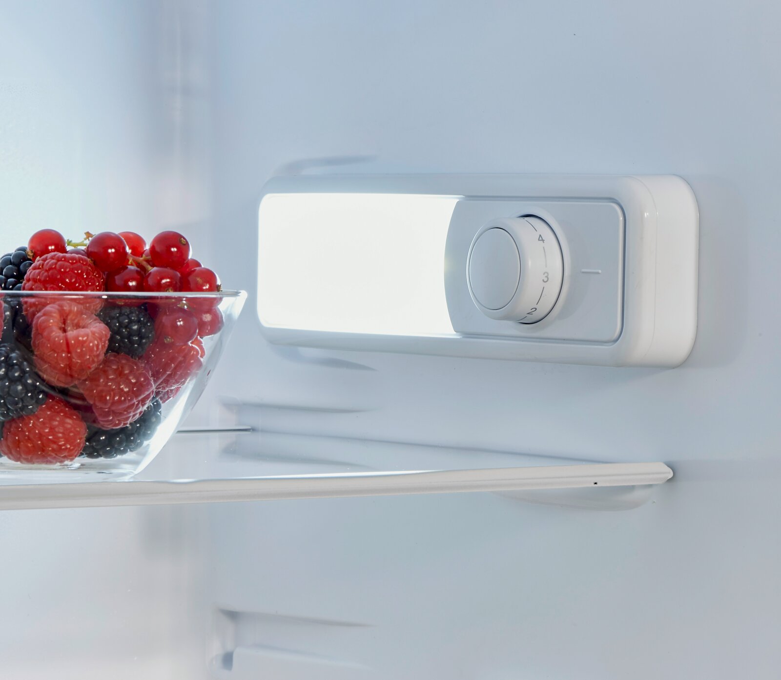 Innenraum eines Kühlschranks mit heller LED-Beleuchtung und Temperatur-Drehregler, daneben eine Glasschale mit Beeren auf dem Glasboden, Perspektive: Frontansicht leicht seitlich von links.