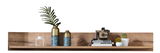 Wandbord mit Boden aus Holz, dekoriert mit Vasen, Büchern, einer Kamera und kleinen Pflanzen, frontal betrachtet.