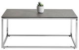 Moderner Couchtisch mit rechteckiger Glasplatte und verchromtem Metallgestell, frontal fotografiert. Auf der Tischplatte steht ein kleiner Pflanzentopf.