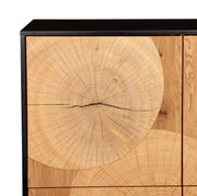 Detailopname van de voorkant van een houten kast/dressoir met een opvallend ontwerp dat lijkt op een dwarsdoorsnede van een boomstam en een zwart frame, perspectief: vooraanzicht