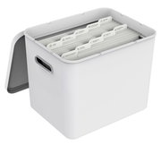 Weiße Archivbox mit geöffnetem Deckel, gefüllt mit sortierten Hängemappen, seitliche Perspektive