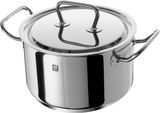 Edelstahl Kochtopf 20 cm Twin Classic mit Deckel, seitliche Perspektive