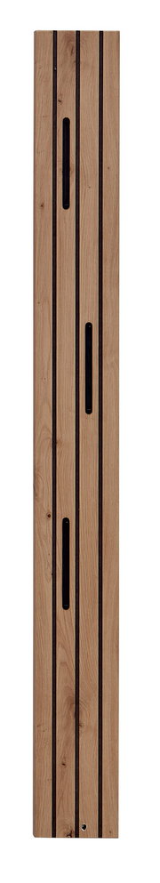 Holz-Paneelleiste mit schwarzen Akzenten, frontal abgebildet