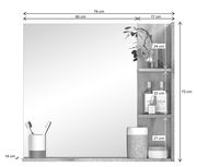Badezimmerspiegel mit seitlichem Regal, frontal abgebildet. Enthält Zahnbürstenhalter, Pflanzen und Pflegeprodukte.