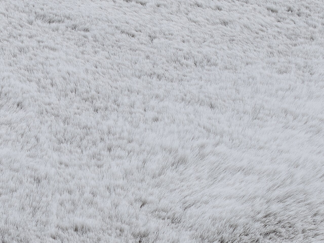 Nahaufnahme eines weißen Fellteppichs aus der Vogelperspektive