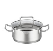 Expertiso-braadpan van 20 cm van roestvrij staal met glazen deksel, zijaanzicht