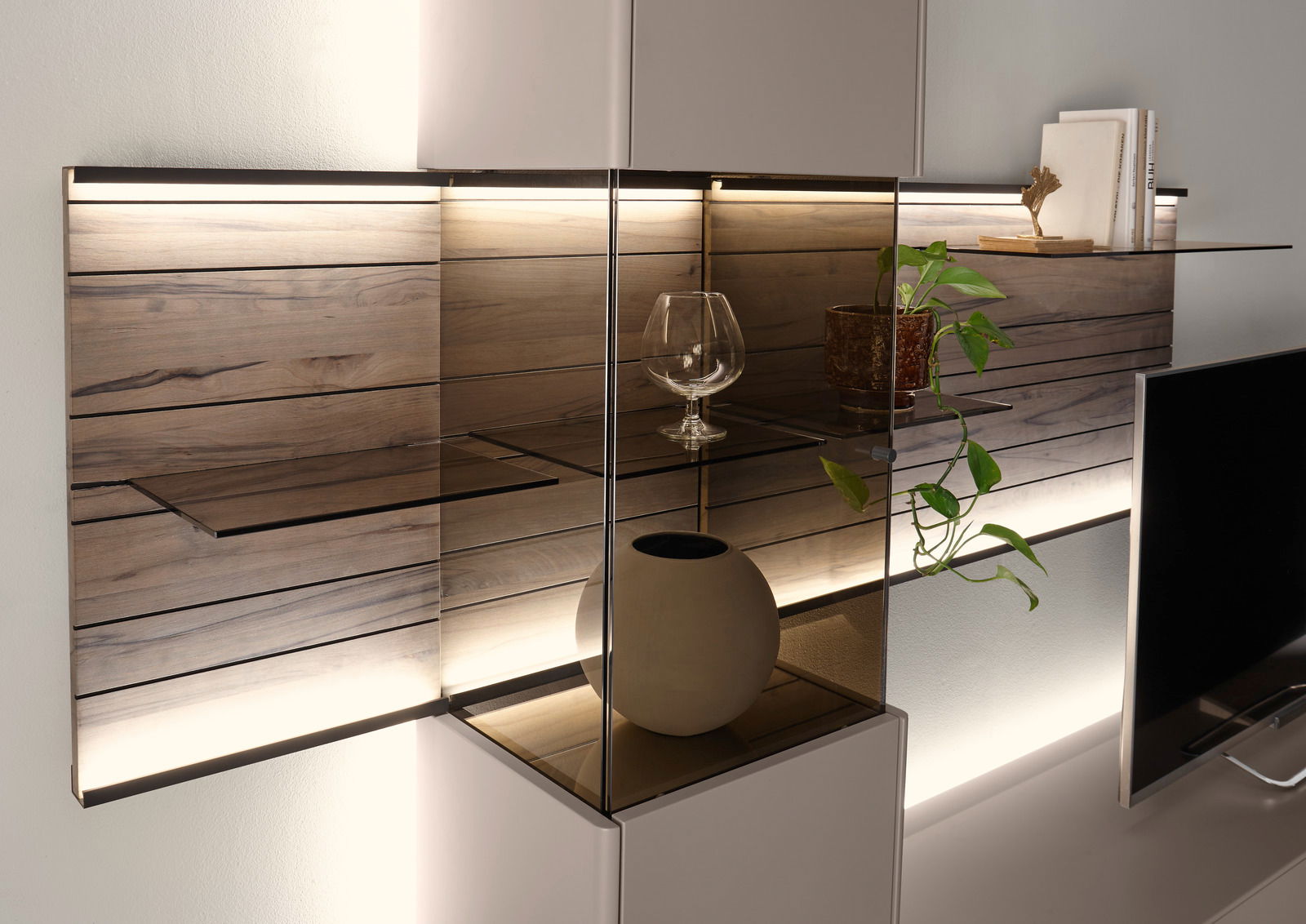 Moderne Wandkombination mit Holz- und Glaselementen, dekoriert mit Pflanzen und Accessoires, seitliche Perspektive.