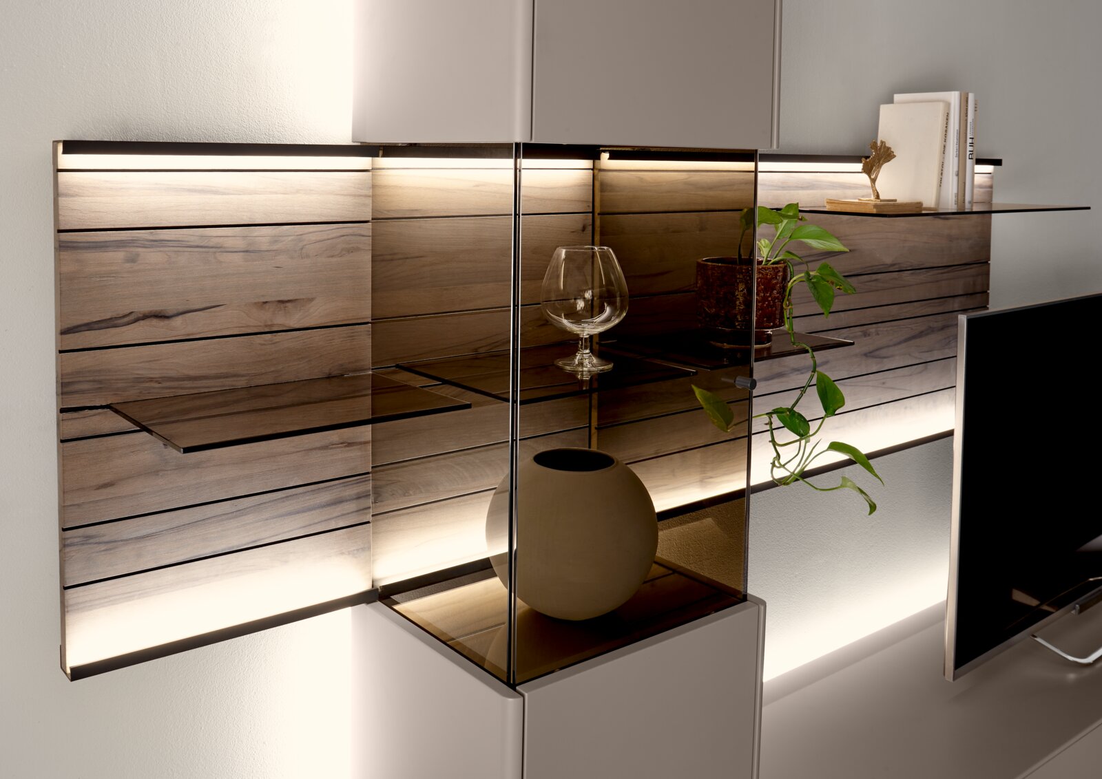Moderne Wandkombination mit Holz- und Glaselementen, dekoriert mit Pflanzen und Accessoires, seitliche Perspektive.