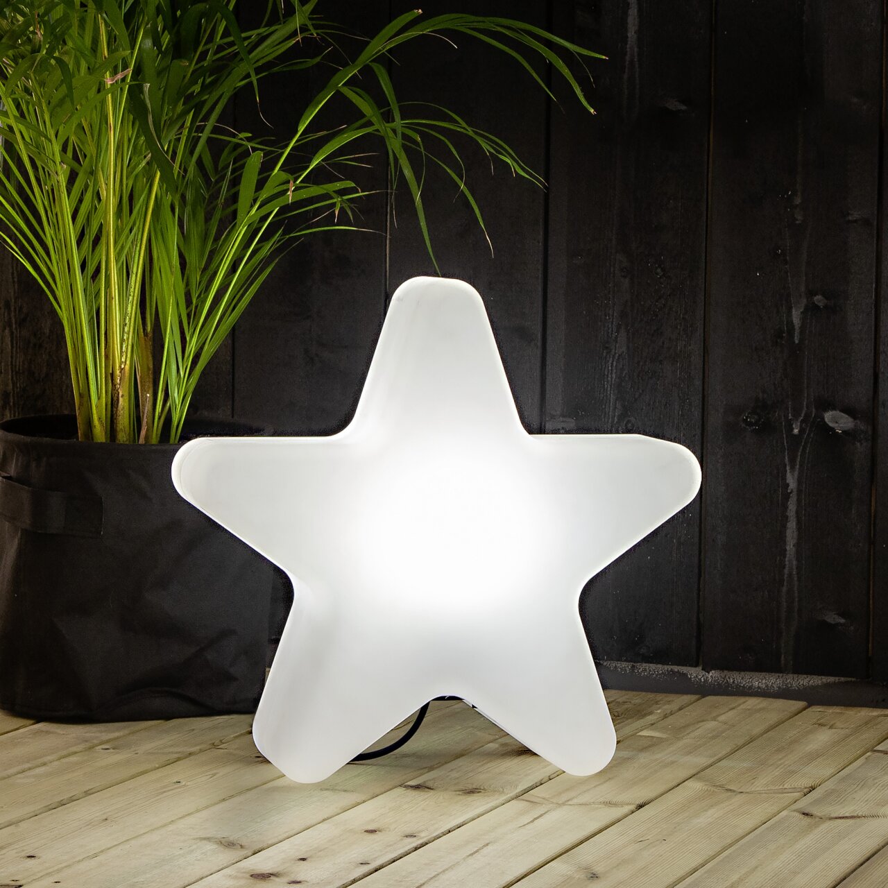 Leuchtender, weißer Stern in 3D-Form als Deko-Leuchte auf Holzboden vor schwarzer Holzpaneelwand, links eine grüne Zimmerpflanze Frontansicht auf Augenhöhe.