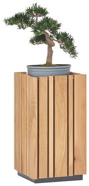 Beistelltisch aus Holz mit vertikalen Lamellen, darauf ein Bonsai-Baum in einem grauen Topf, seitliche Perspektive