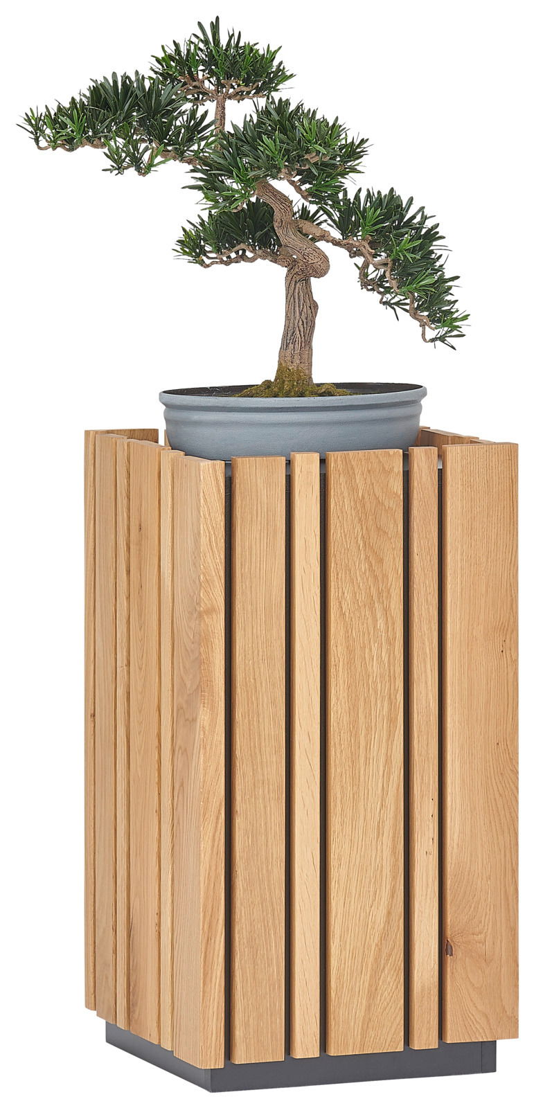 Beistelltisch aus Holz mit vertikalen Lamellen, darauf ein Bonsai-Baum in einem grauen Topf, seitliche Perspektive