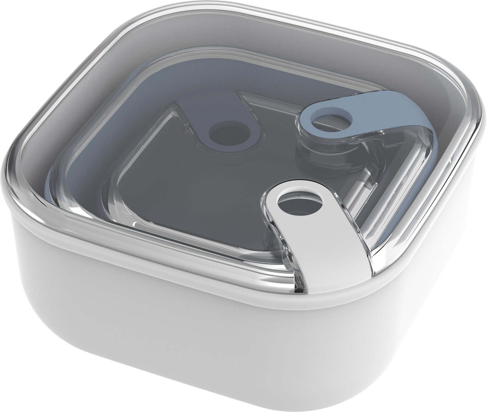 rotho Frischhaltedosen-Set 3-tlg. ELA Frischhaltedose aus der Vogelperspektive mit transparentem Deckel und Verschlussmechanismus