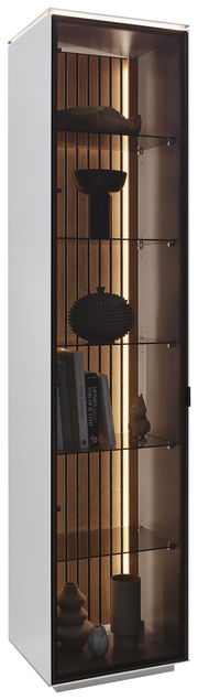 Moderne Vitrine mit Glasregalen und integrierter Beleuchtung, seitliche Perspektive