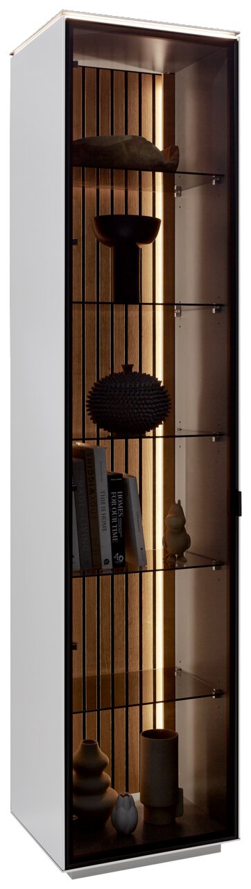 Moderne Vitrine mit Glasregalen und integrierter Beleuchtung, seitliche Perspektive