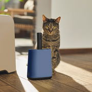 Katzenstreu Reinigungsset in blauer Halterung mit schwarzem Griff, neben einer getigerten Katze auf Holzboden, seitliche Perspektive