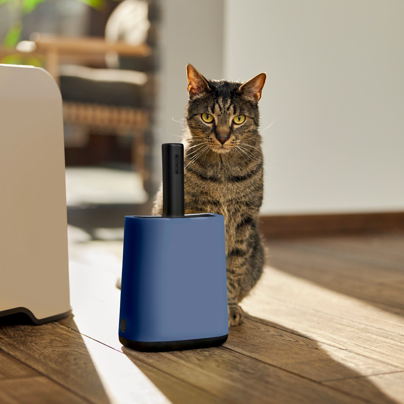 Reinigingsset voor kattenbakvulling in een blauwe houder met een zwart handvat, naast een gestreepte kat op een houten vloer, zijaanzicht