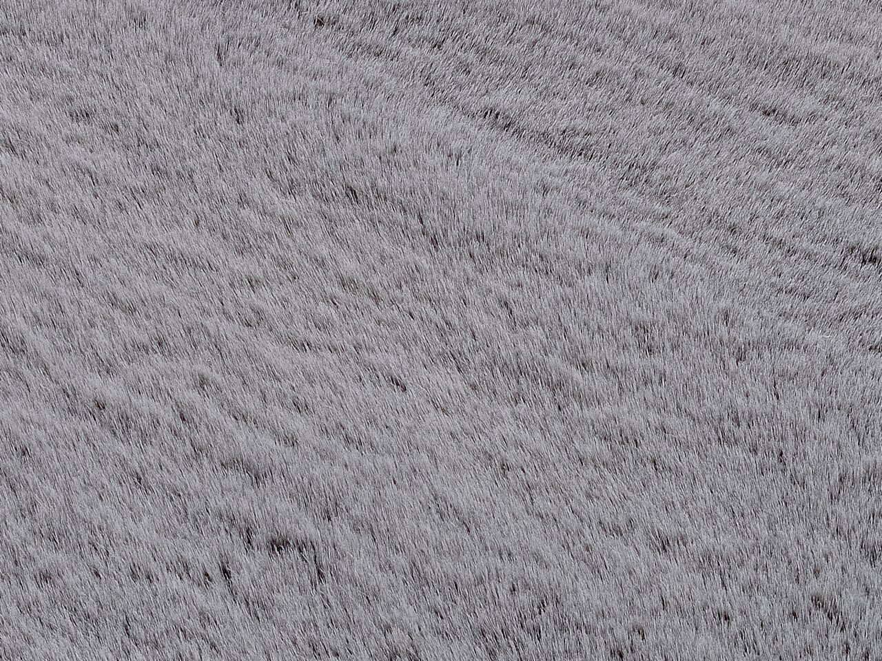 Nahaufnahme eines grauen Fellteppichs aus der Vogelperspektive