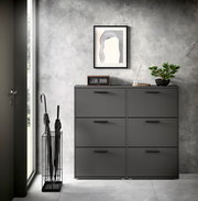 Schuhkipper 6er in modernem, grauem Design, frontal fotografiert, mit dekorativen Elementen wie einer Uhr und einer Pflanze darauf.