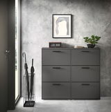 Schuhkipper 6er in modernem, grauem Design, frontal fotografiert, mit dekorativen Elementen wie einer Uhr und einer Pflanze darauf.