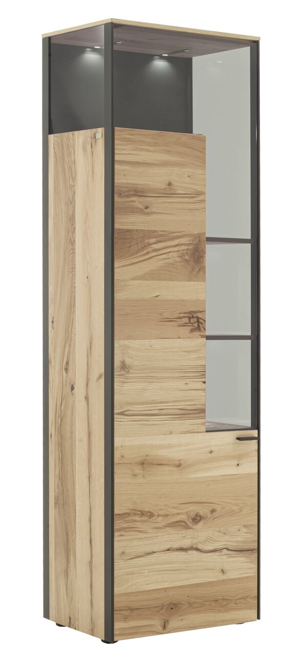 Moderne Vitrine aus Holz mit Glaselementen, seitliche Perspektive