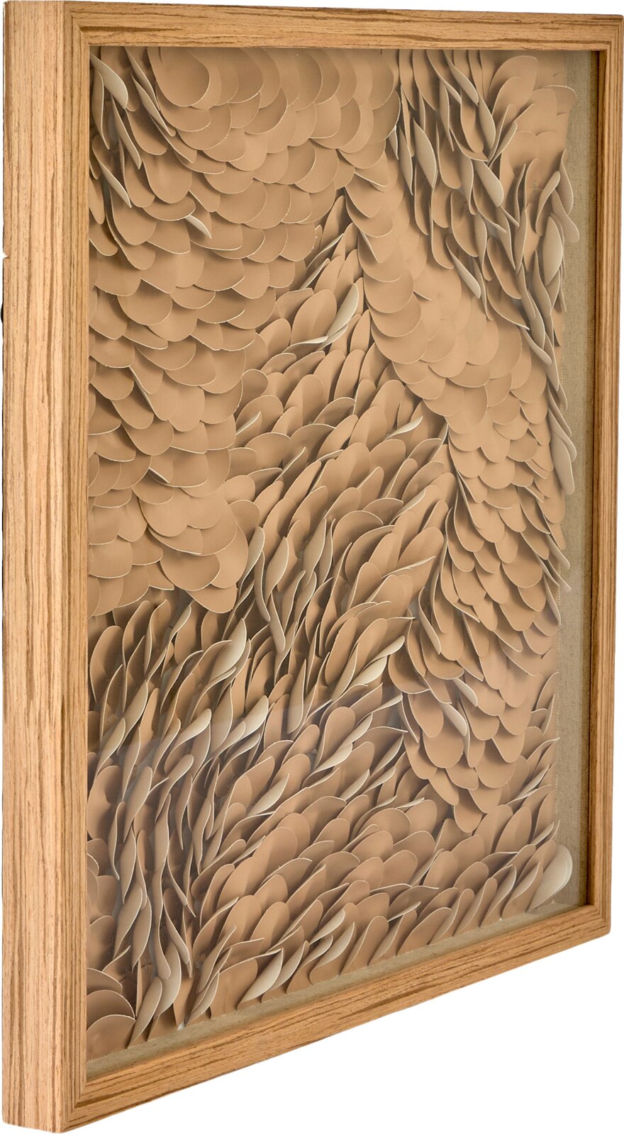 Driedimensionale abstracte wanddecoratie met organische, overlappende vormen in beige en een naturel houten lijst, schuin van voren gezien