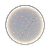 Ronde led-plafondlamp met lichtgevende puntjes en een verlichte rand, gezien van onderaf.