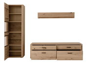 Holz-Wandkombination mit Schrank, Regal und Kommode, frontale Ansicht