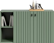 Frontansicht eines modernen grünen Sideboards mit vertikaler Lamellenoptik, zwei Türen mit schwarzen Griffen und offenem Regal links mit Büchern; oben Deko mit zwei Vasen und zwei kleinen Stuhlfiguren
